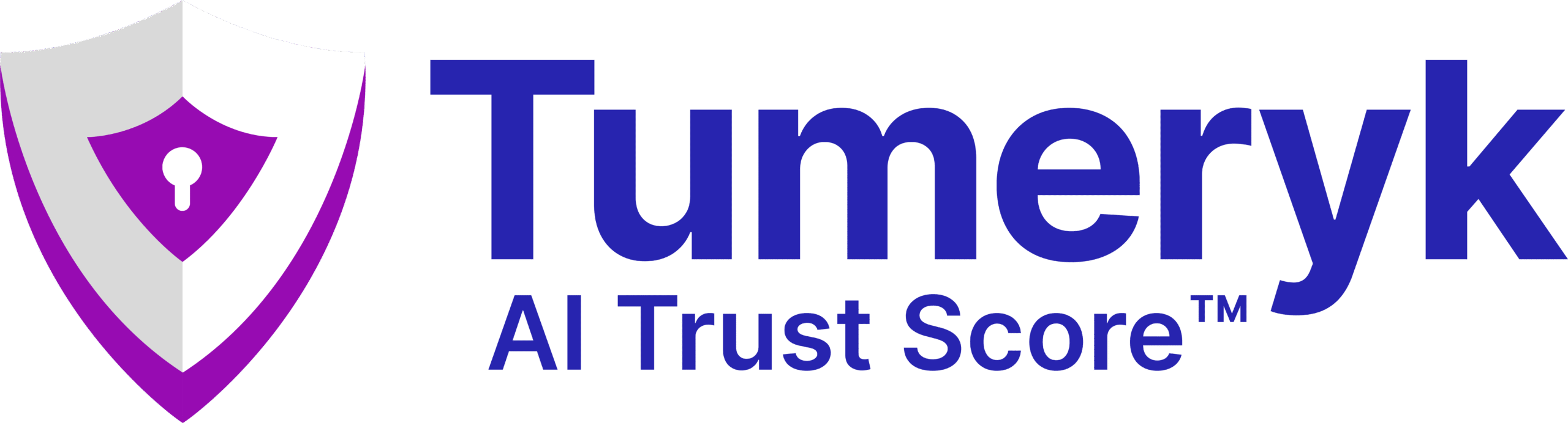 Tumeryk logo